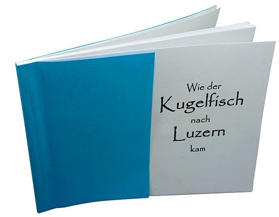 Alte Suidtersche Apotheke Luzern Kugelfisch